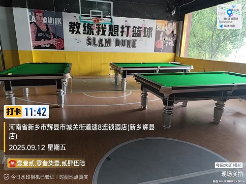 14张台球桌（5银腿.6玫瑰.3毒牙）上门安装费500元/台：辉县市靓仔台球桌俱乐部