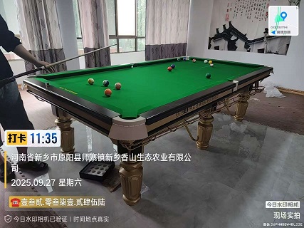 1张乔款金腿台球桌.上门安装费400元：原阳县.师寨镇（家用）