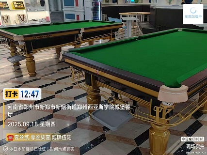 2张金腿台球桌.调平+维修+翻新.上门手工费600元：新郑市.西亚斯学院