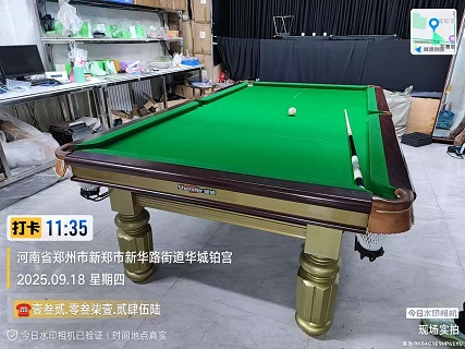 1张绅迪台球桌.台呢+调平+更换.上门手工费520元：新郑市.华城铂宫（家用）