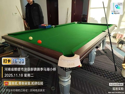 1张银腿.安装费400元：浚县.新镇镇（家用）购买球桌，请私聊